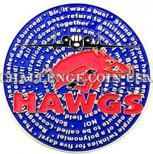 A-10 Hawgs Challenge Coin