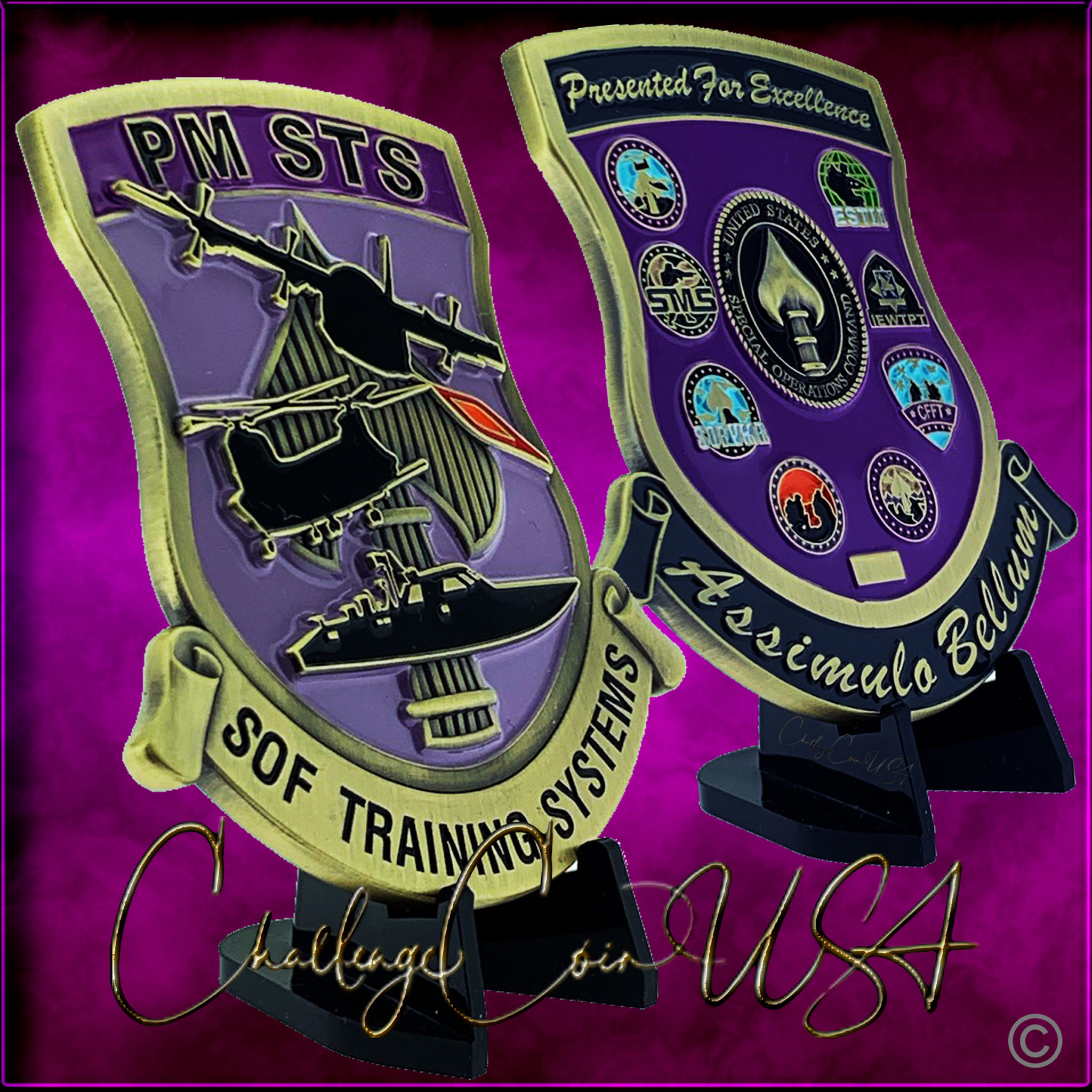 SOF Training System Coin