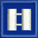 Embroidered Collar Rank Captain 1 x 1