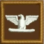 Embroidered Collar Rank Colonel 1 x 1