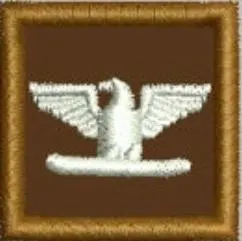 Embroidered Collar Rank Colonel 1 x 1