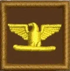 Embroidered Collar Rank Colonel 1 x 1 - Image 6