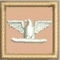 Embroidered Collar Rank Colonel 1 x 1 - Image 7