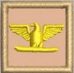 Embroidered Collar Rank Colonel 1 x 1 - Image 8