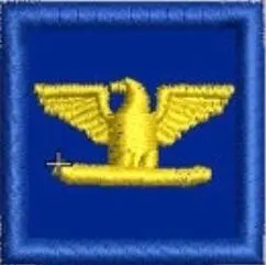 Embroidered Collar Rank Colonel 1 x 1 - Image 11
